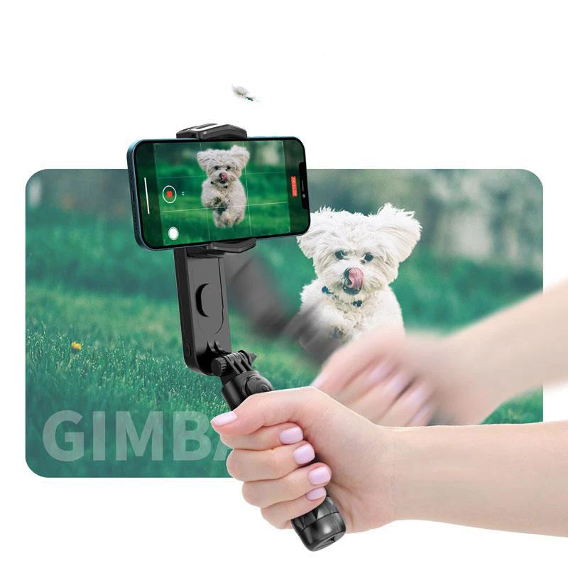 Portable Grip Stand Steady Cam Mount Anti-Vibration